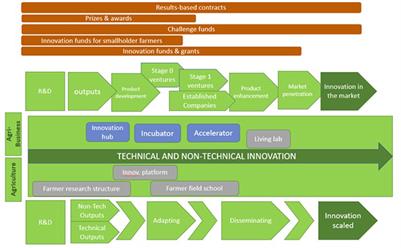 A critical comparative review of evidence on alternative instruments for supporting research and innovation in agri-food systems in the Global South